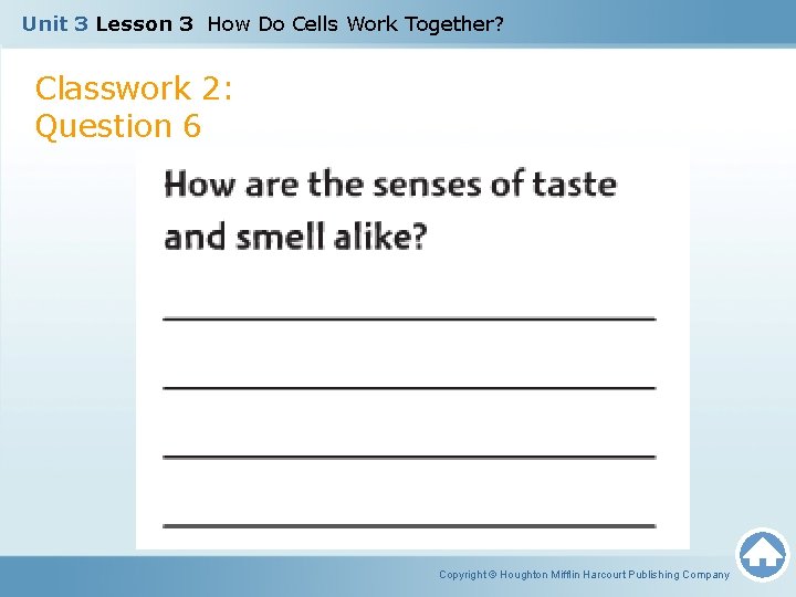 Unit 3 Lesson 3 How Do Cells Work Together? Classwork 2: Question 6 Copyright