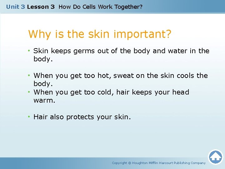 Unit 3 Lesson 3 How Do Cells Work Together? Why is the skin important?