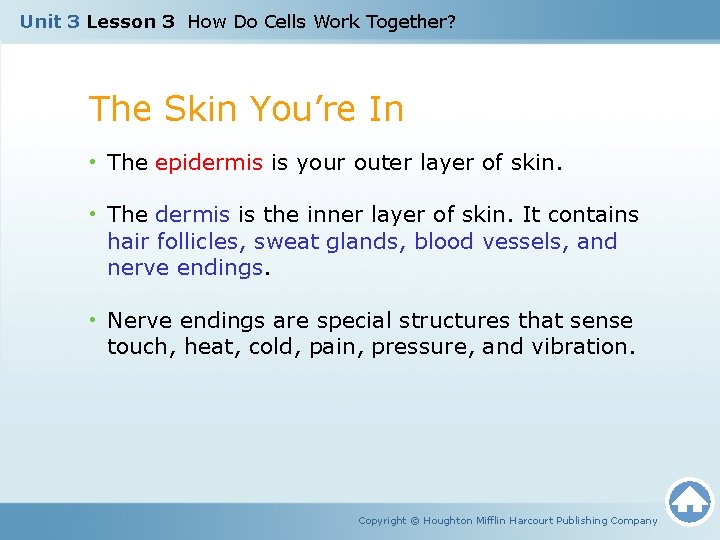 Unit 3 Lesson 3 How Do Cells Work Together? The Skin You’re In •