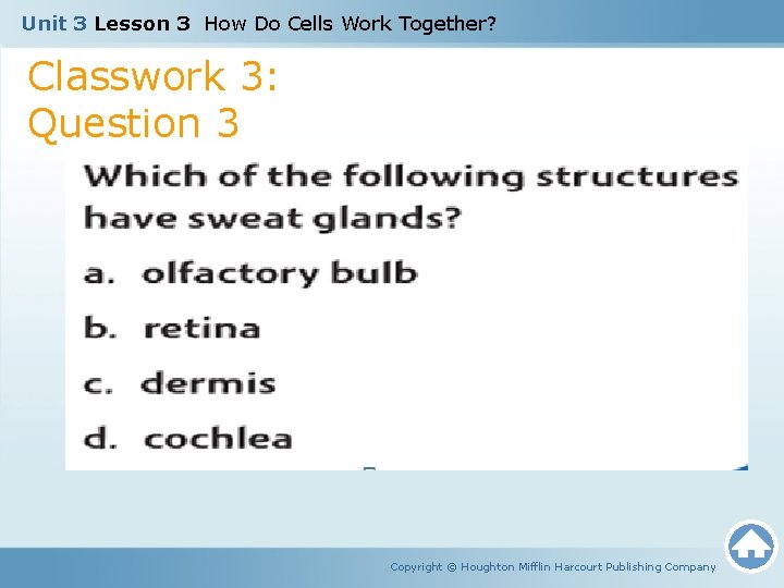 Unit 3 Lesson 3 How Do Cells Work Together? Classwork 3: Question 3 Copyright