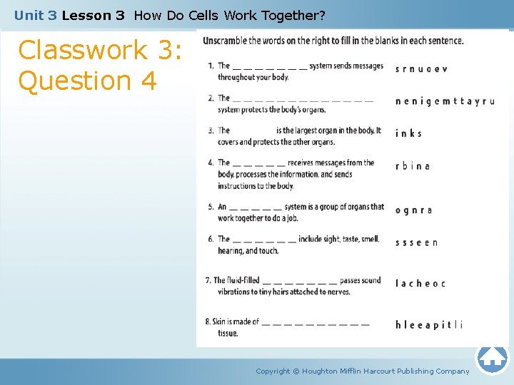 Unit 3 Lesson 3 How Do Cells Work Together? Classwork 3: Question 4 Copyright