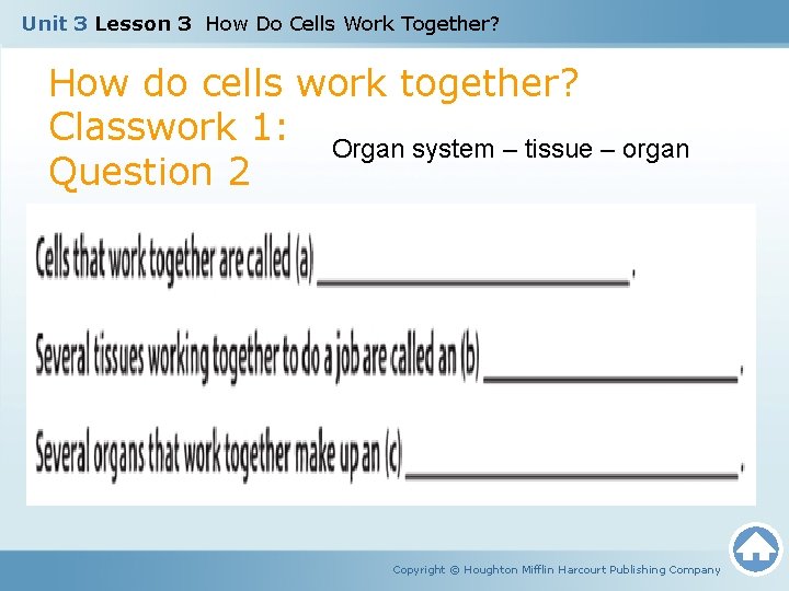 Unit 3 Lesson 3 How Do Cells Work Together? How do cells work together?