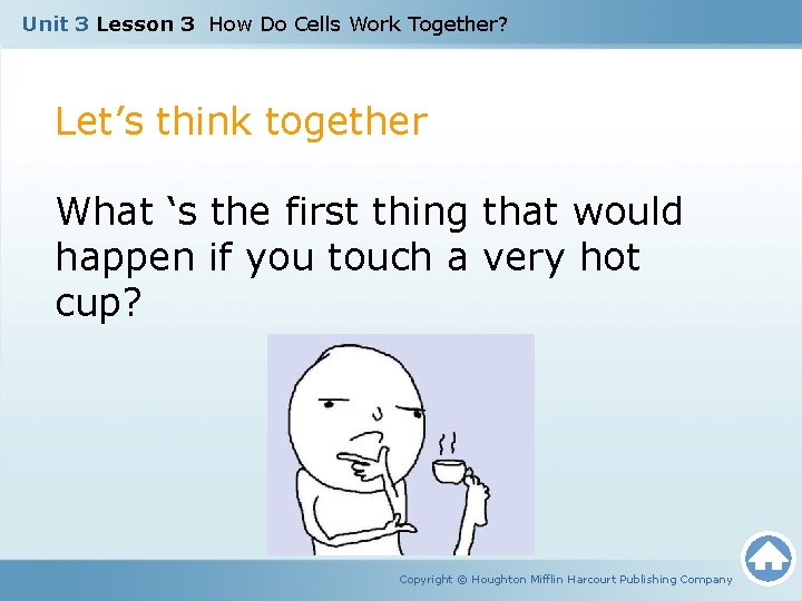 Unit 3 Lesson 3 How Do Cells Work Together? Let’s think together What ‘s