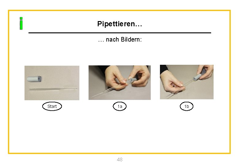 Pipettieren… … nach Bildern: Start 1 a 48 1 b 