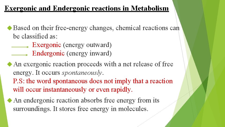 Exergonic and Endergonic reactions in Metabolism Based on their free-energy changes, chemical reactions can