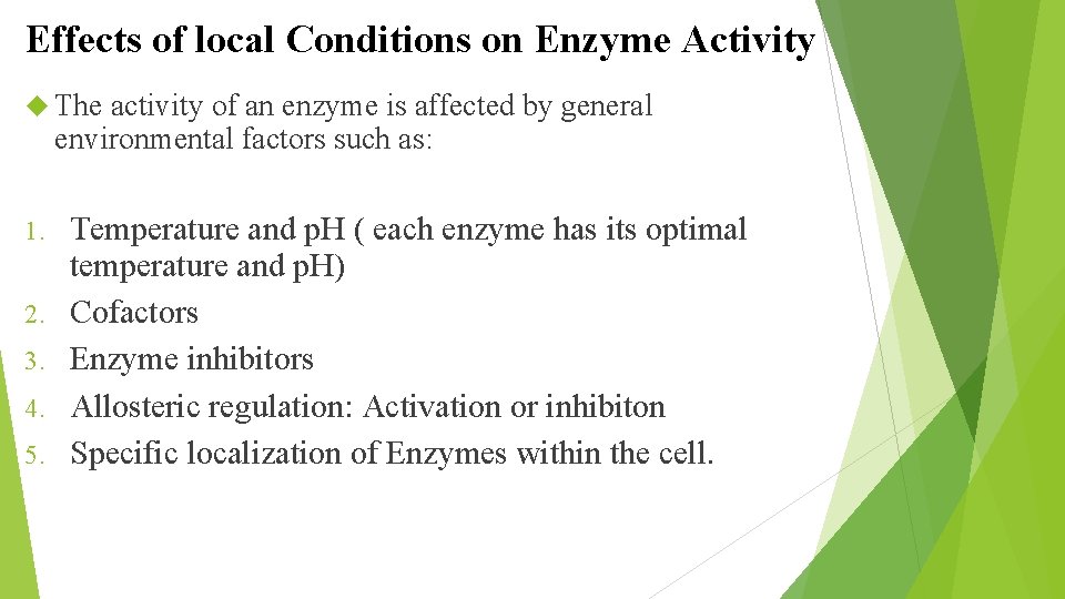 Effects of local Conditions on Enzyme Activity The activity of an enzyme is affected