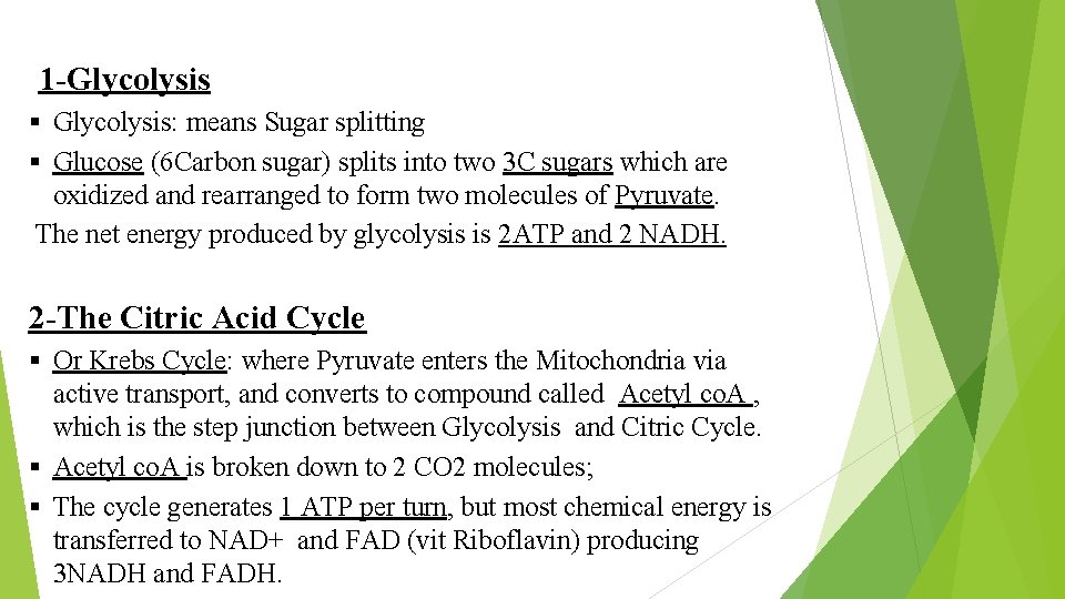 1 -Glycolysis § Glycolysis: means Sugar splitting § Glucose (6 Carbon sugar) splits into
