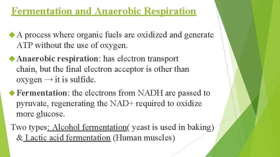 Fermentation and Anaerobic Respiration A process where organic fuels are oxidized and generate ATP