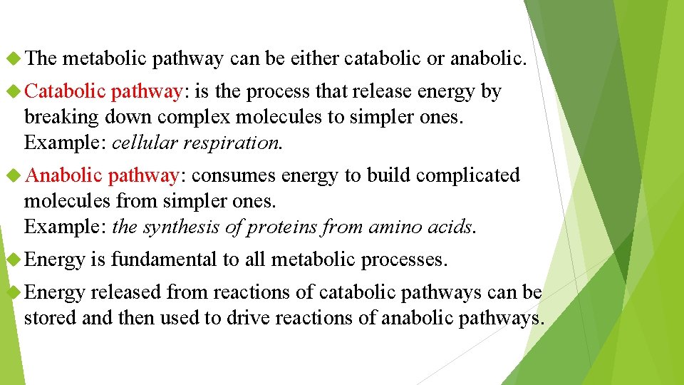  The metabolic pathway can be either catabolic or anabolic. Catabolic pathway: is the