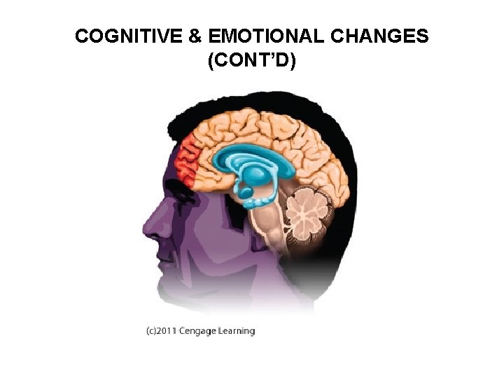 COGNITIVE & EMOTIONAL CHANGES (CONT’D) 