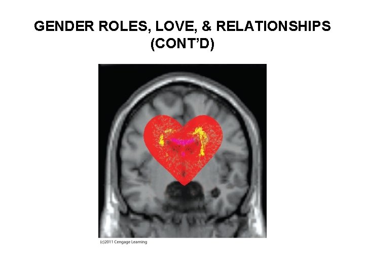 GENDER ROLES, LOVE, & RELATIONSHIPS (CONT’D) 