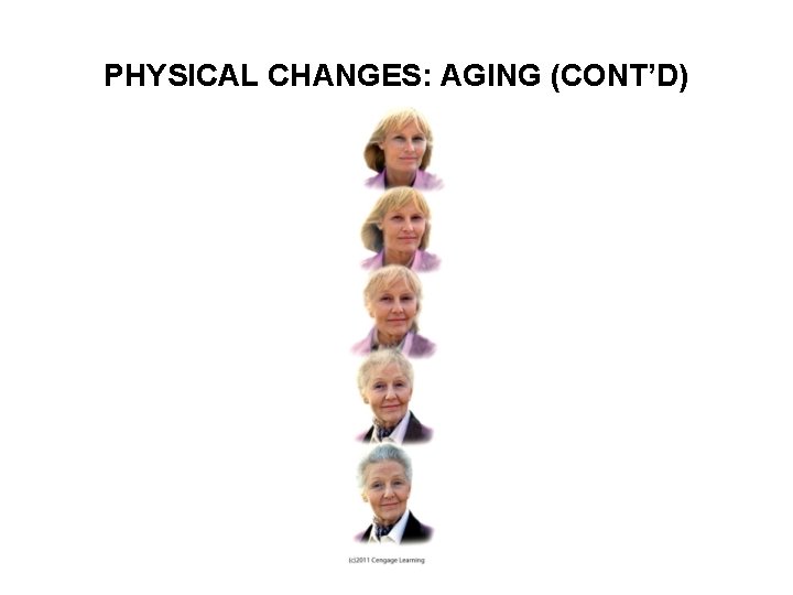 PHYSICAL CHANGES: AGING (CONT’D) 