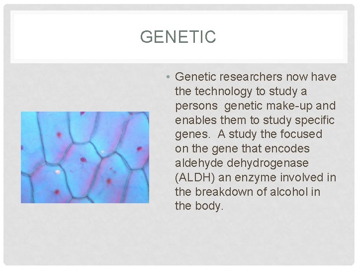 GENETIC • Genetic researchers now have the technology to study a persons genetic make-up