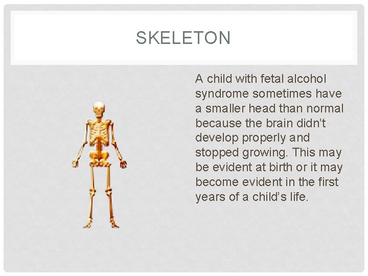SKELETON A child with fetal alcohol syndrome sometimes have a smaller head than normal