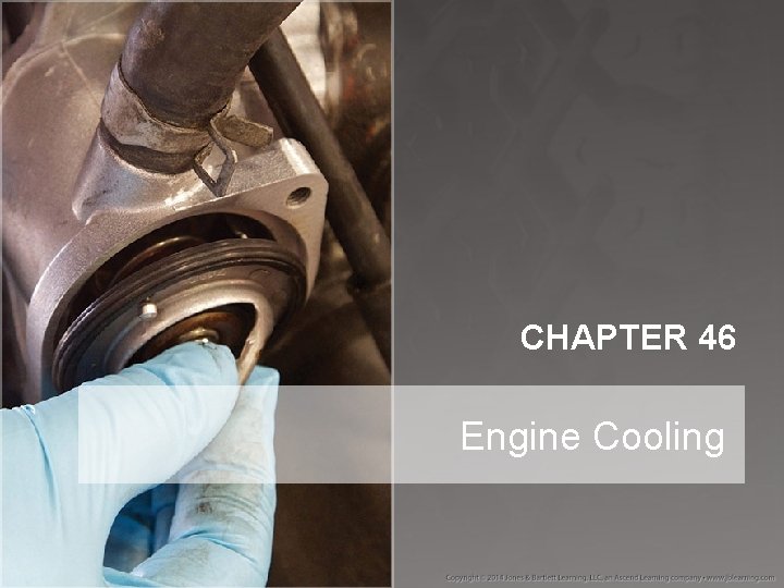 CHAPTER 46 Engine Cooling 