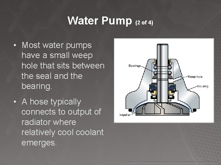 Water Pump (2 of 4) • Most water pumps have a small weep hole