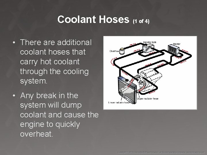 Coolant Hoses (1 of 4) • There additional coolant hoses that carry hot coolant