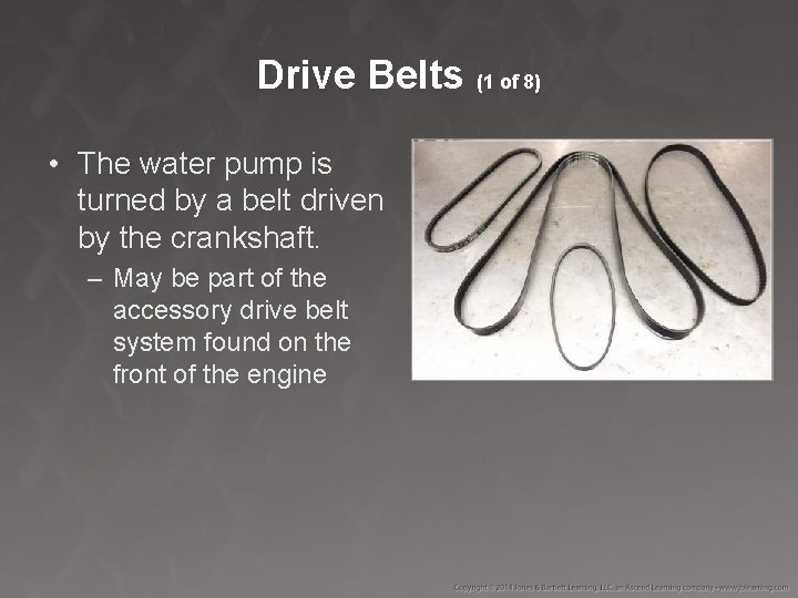 Drive Belts (1 of 8) • The water pump is turned by a belt