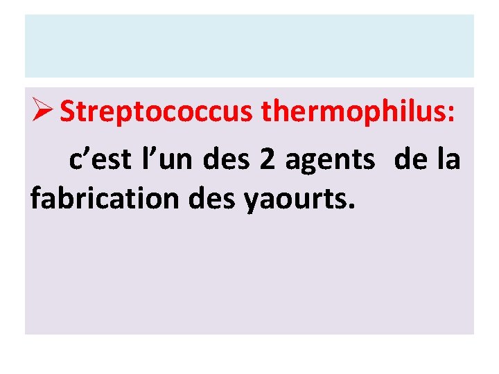 Ø Streptococcus thermophilus: c’est l’un des 2 agents de la fabrication des yaourts. 