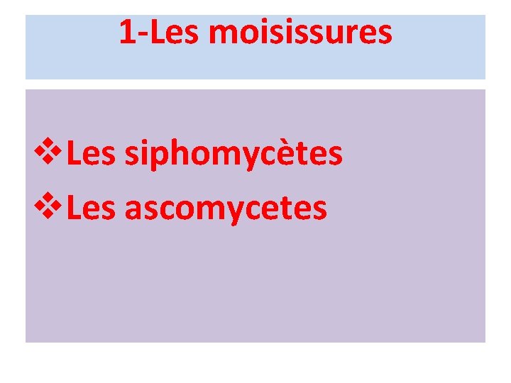 1 -Les moisissures v. Les siphomycètes v. Les ascomycetes 