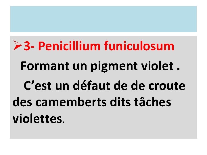 Ø 3 - Penicillium funiculosum Formant un pigment violet. C’est un défaut de de