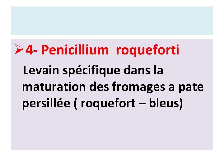 Ø 4 - Penicillium roqueforti Levain spécifique dans la maturation des fromages a pate