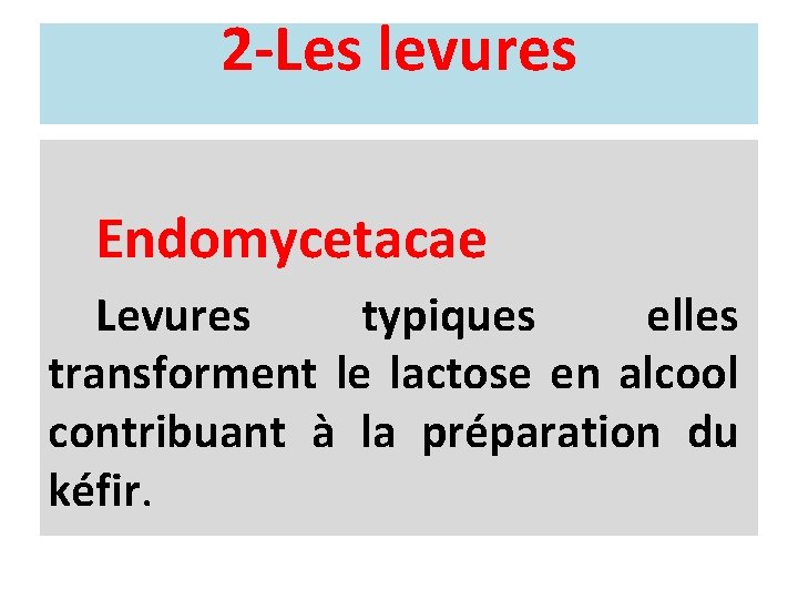 2 -Les levures Endomycetacae Levures typiques elles transforment le lactose en alcool contribuant à