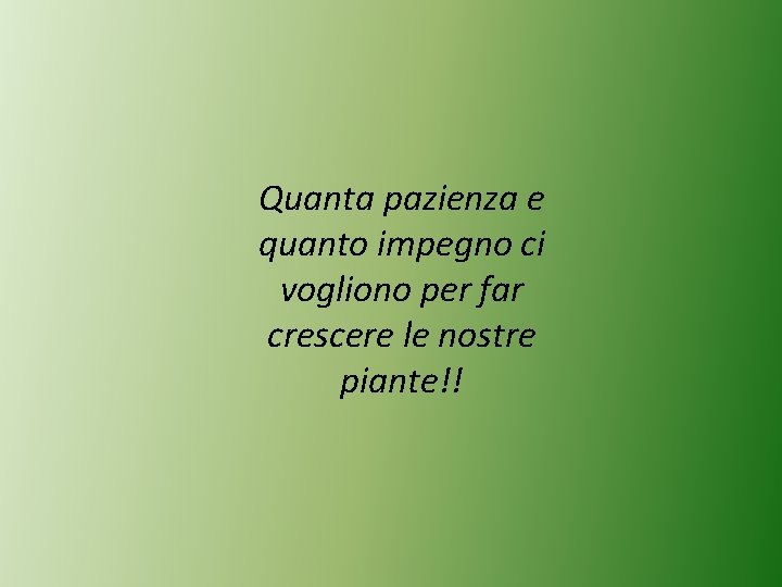 Quanta pazienza e quanto impegno ci vogliono per far crescere le nostre piante!! 