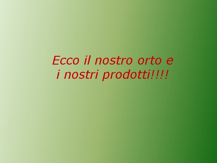 Ecco il nostro orto e i nostri prodotti!!!! 