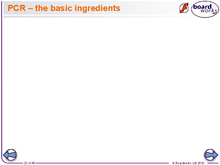 PCR – the basic ingredients 23 of 45 © Boardworks Ltd 2010 PCR – the basic ingredients 23 of 45 © Boardworks Ltd 2010