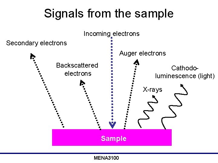 Signals from the sample Incoming electrons Secondary electrons Auger electrons Backscattered electrons Cathodoluminescence (light)