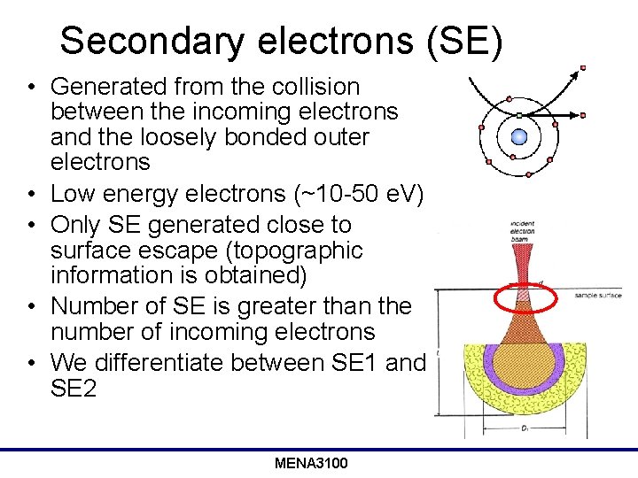 Secondary electrons (SE) • Generated from the collision between the incoming electrons and the