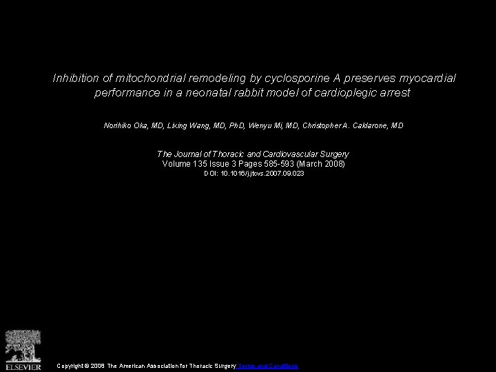 Inhibition of mitochondrial remodeling by cyclosporine A preserves myocardial performance in a neonatal rabbit