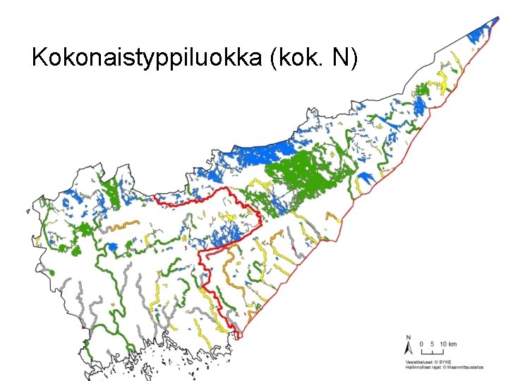 Kokonaistyppiluokka (kok. N) 