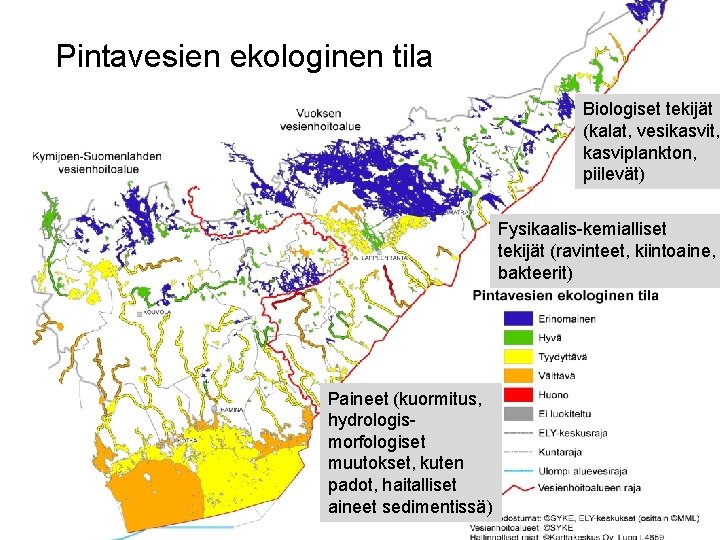 Pintavesien ekologinen tila Pintavesien tila Biologiset tekijät (kalat, vesikasvit, kasviplankton, piilevät) Fysikaalis-kemialliset tekijät (ravinteet,