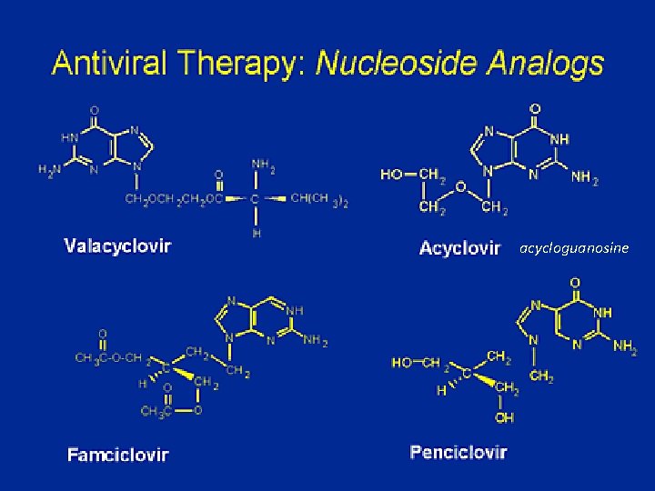 acycloguanosine 
