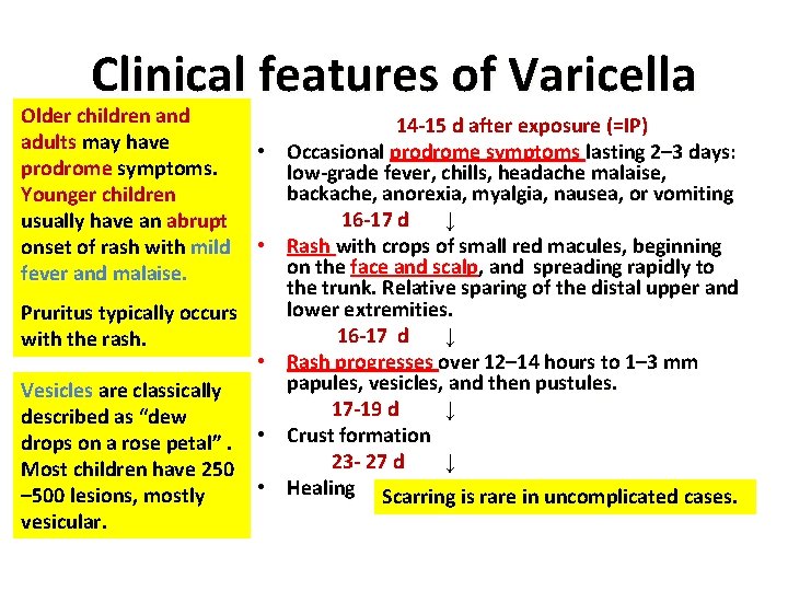 Clinical features of Varicella Older children and adults may have prodrome symptoms. Younger children