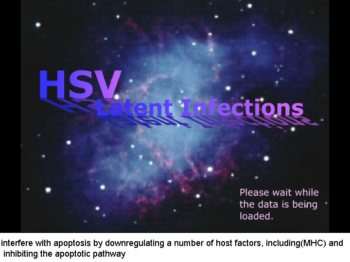 interfere with apoptosis by downregulating a number of host factors, including(MHC) and inhibiting the