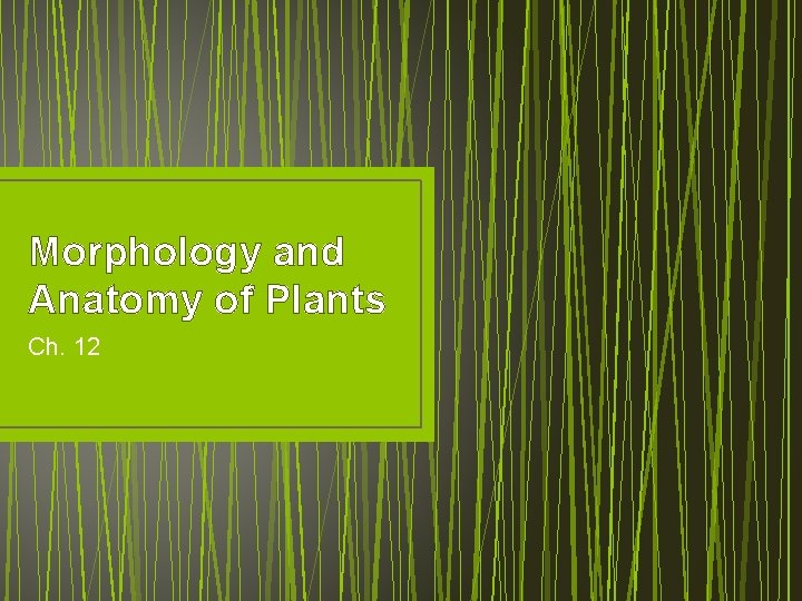 Morphology and Anatomy of Plants Ch. 12 