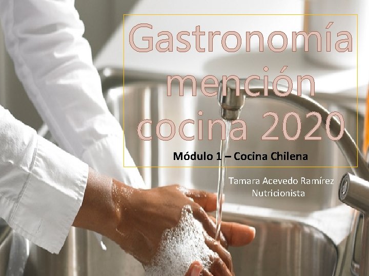 Gastronomía mención cocina 2020 Módulo 1 – Cocina Chilena Tamara Acevedo Ramírez Nutricionista 