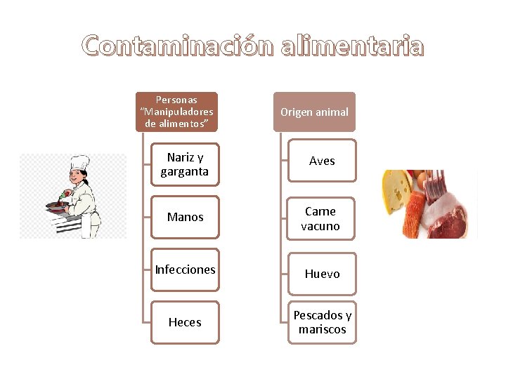 Contaminación alimentaria Personas “Manipuladores de alimentos” Origen animal Nariz y garganta Aves Manos Carne