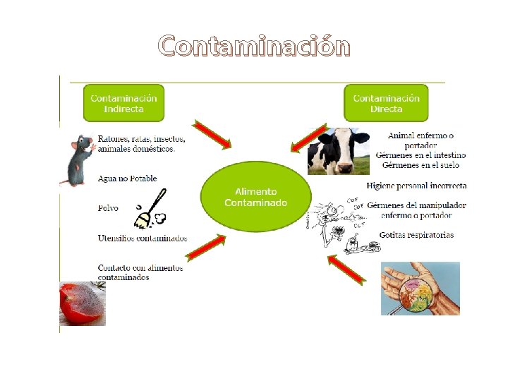 Contaminación 