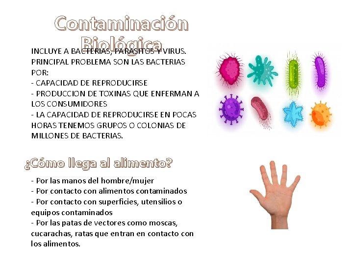 Contaminación Biológica INCLUYE A BACTERIAS, PARASITOS Y VIRUS. PRINCIPAL PROBLEMA SON LAS BACTERIAS POR: