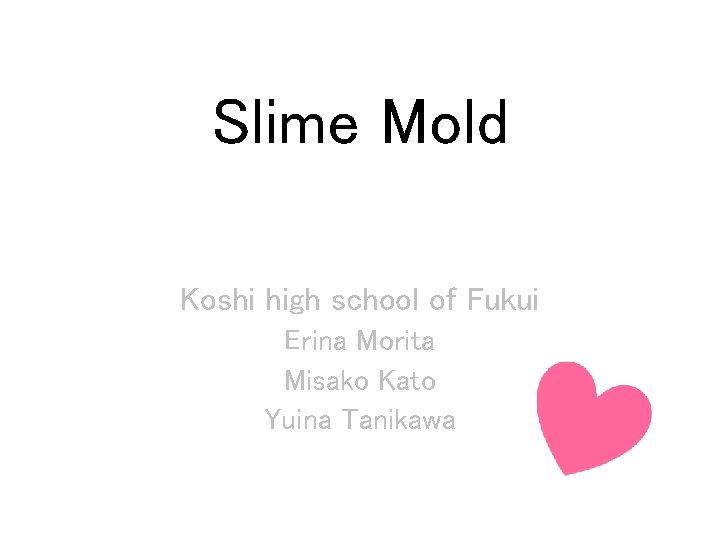 Slime Mold Koshi high school of Fukui Erina Morita Misako Kato Yuina Tanikawa 