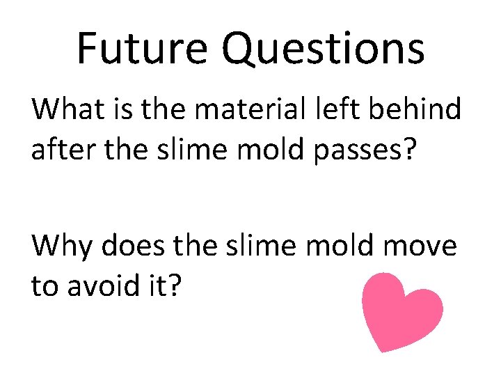 Future Questions What is the material left behind after the slime mold passes? Why