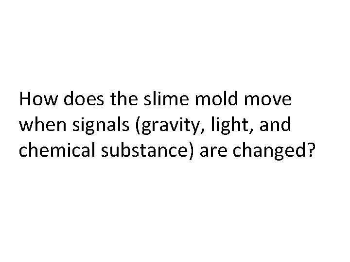 How does the slime mold move when signals (gravity, light, and chemical substance) are
