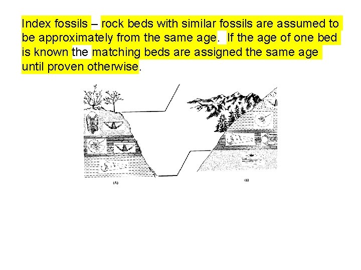 Index fossils – rock beds with similar fossils are assumed to be approximately from