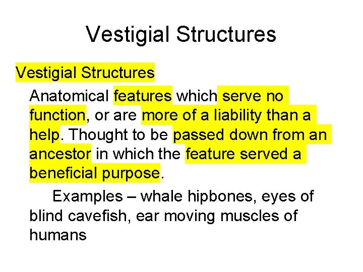 Vestigial Structures Anatomical features which serve no function, or are more of a liability