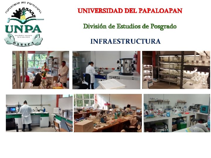 UNIVERSIDAD DEL PAPALOAPAN División de Estudios de Posgrado INFRAESTRUCTURA 