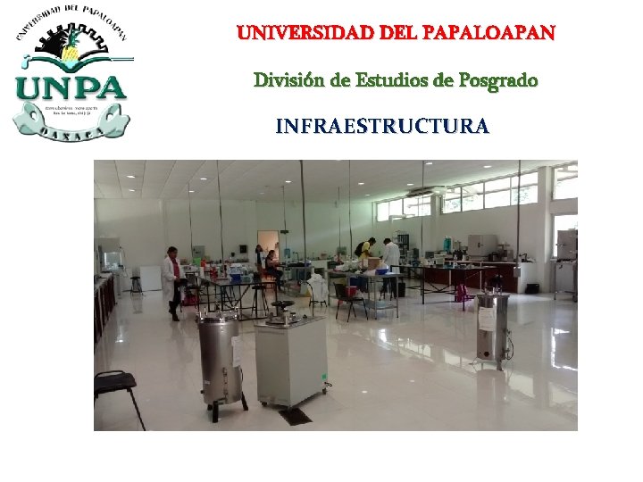 UNIVERSIDAD DEL PAPALOAPAN División de Estudios de Posgrado INFRAESTRUCTURA 